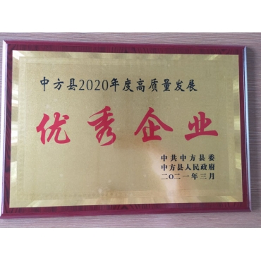 2020年度高質(zhì)量發(fā)展優(yōu) 秀企業(yè)